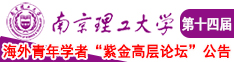 日妣在线看南京理工大学第十四届海外青年学者紫金论坛诚邀海内外英才！